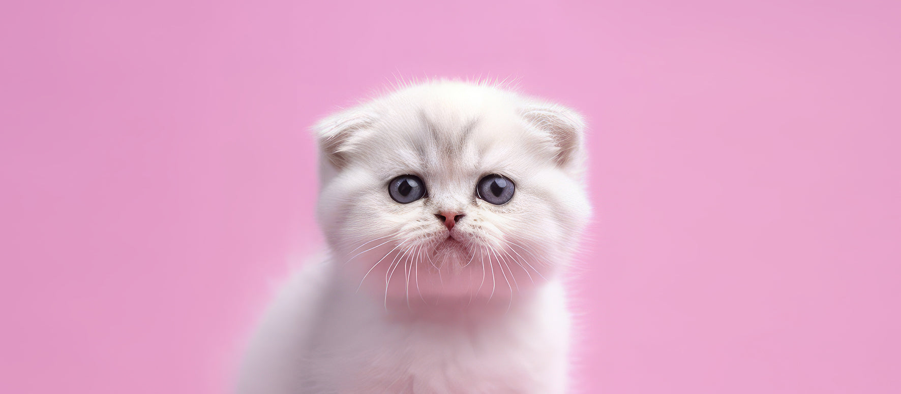 Pussy Drop